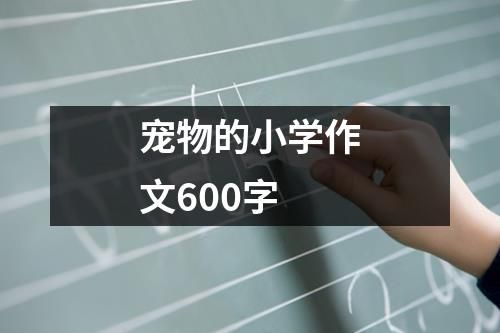 宠物的小学作文600字