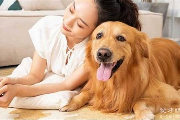梦到狗什么意思周公解梦