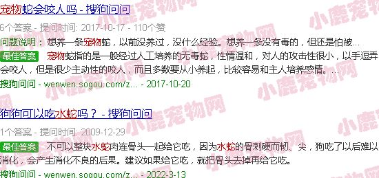 宠物水蛇