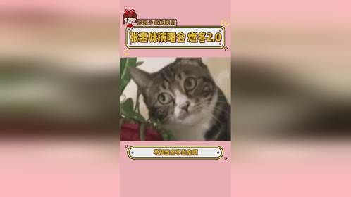 终究还是我太保守了