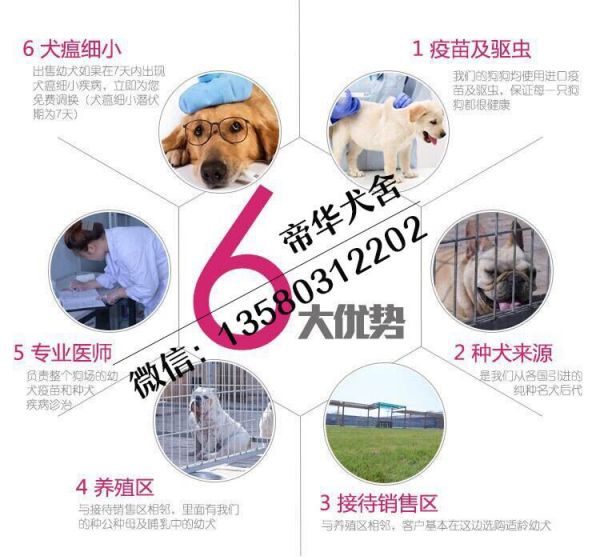 QQ图片20160322155245