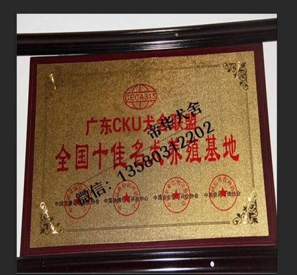 QQ图片20160322154941