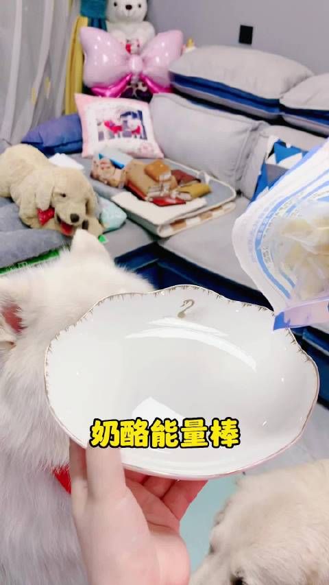 家有萌宠 可以嚼着吃的酸奶，奶香浓郁补充能量……