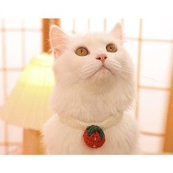 Hoopet 猫咪奶油草莓脖围 15-20cm 适合2-4斤