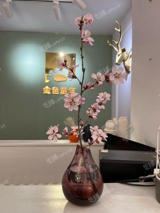 燕郊160㎡照相馆转让，个人照可用