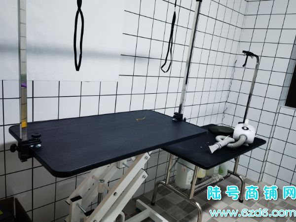观山湖恒大新世界观澜小区宠物店转让,空转