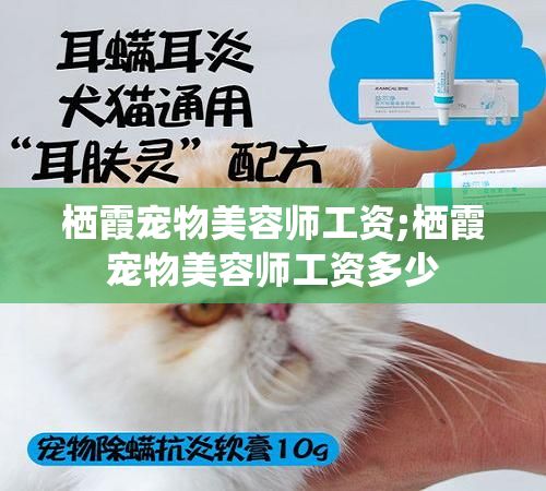 栖霞宠物美容师工资;栖霞宠物美容师工资多少
