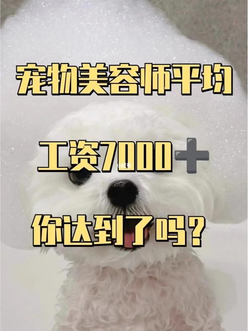 宠物美容师多少钱一个月工资高一点（宠物美容师工作时间一般是多少）
