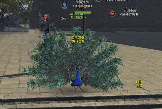 天涯明月刀宠物孔雀怎么获得 孔雀技能