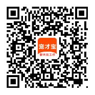 宠才网App下载