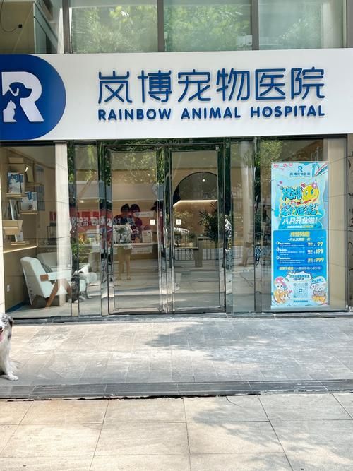 汉阳哪里有宠物医院，武汉的宠物市场在哪里？有几个？