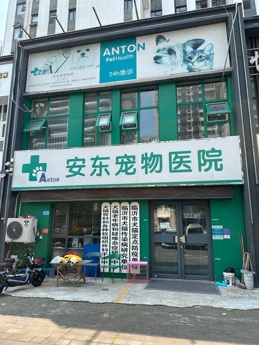 临沂宠物医院安利！良心推荐！！！