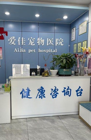 临沂！朋友推荐的这家宠物医院真的很靠谱
