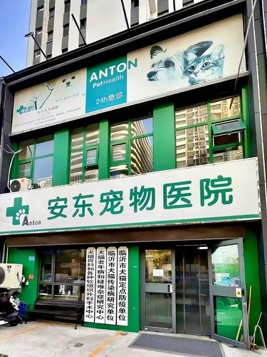 年轻人不要只养宠物 也要选好宠物医院❗️