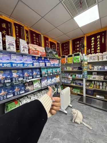 临沂！！靠谱的宠物医院让人相信！
