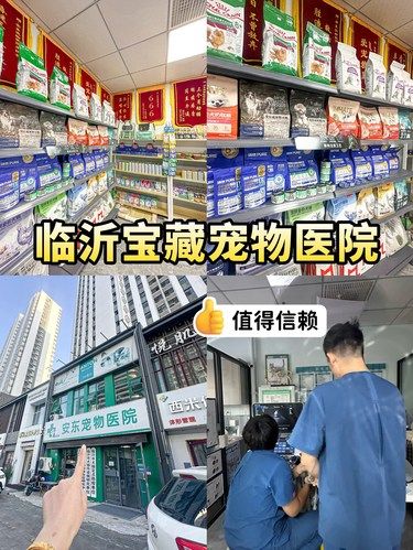 去过不下七八次的宠物医院，灰常专业！