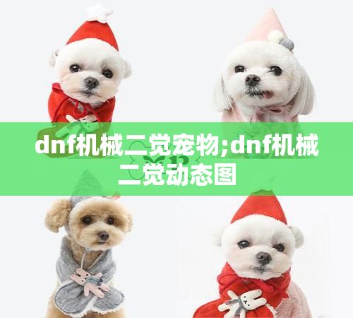 dnf机械二觉宠物;dnf机械二觉动态图