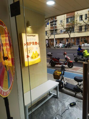 新开的宠物店好多喵