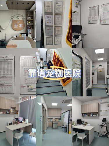 福州靠谱宠物医院终于开到家门口啦❗❗❗
