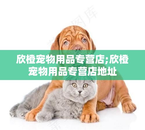 欣橙宠物用品专营店;欣橙宠物用品专营店地址