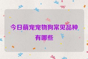 今日萌宠宠物狗常见品种有哪些