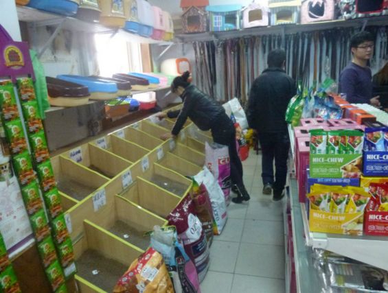 微商宠物用品代理，如何找客源