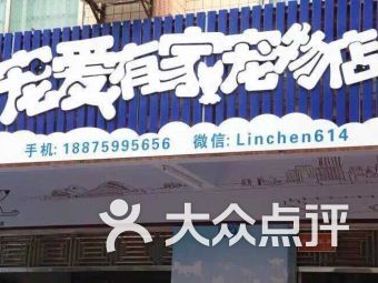 湛江哪里有宠物店?