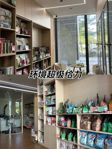 发现一家环境超温馨的宠物店