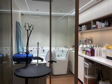 湛江环境最好的宠物店