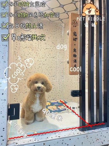湛江首家！宠物寄养酒店来啦！！
