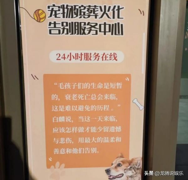 宠物殡葬火化套餐价格 500 到 3000 元不等，网友：人真的不如宠物！