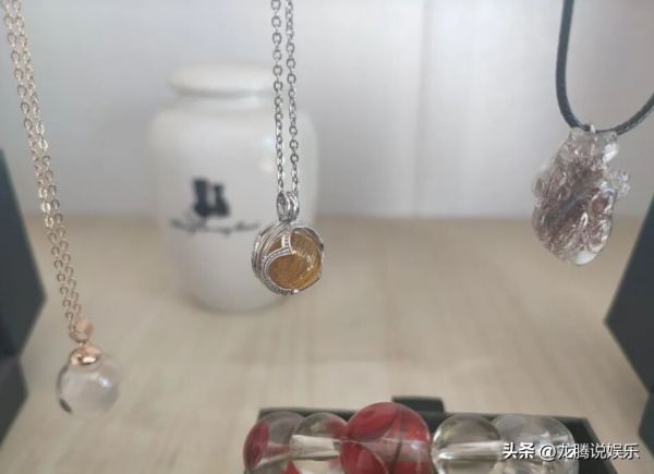 宠物殡葬火化套餐价格 500 到 3000 元不等，网友：人真的不如宠物！