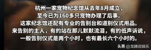 宠物殡葬火化套餐价格 500 到 3000 元不等，网友：人真的不如宠物！