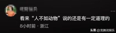 宠物殡葬火化套餐价格 500 到 3000 元不等，网友：人真的不如宠物！