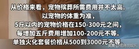 宠物殡葬火化套餐价格 500 到 3000 元不等，网友：人真的不如宠物！