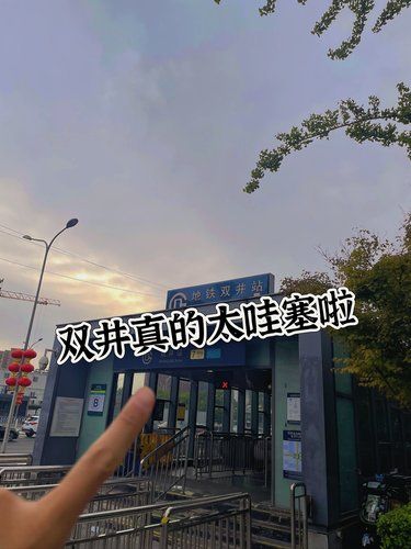 双井又双叒叕支棱起来啦❗