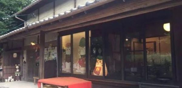 日本这家超可爱的猫猫聚集地，让全世界的猫奴都不淡定了！