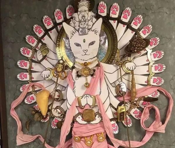 日本这家超可爱的猫猫聚集地，让全世界的猫奴都不淡定了！