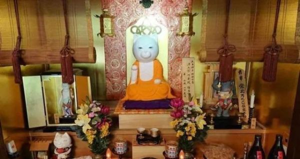 日本这家超可爱的猫猫聚集地，让全世界的猫奴都不淡定了！