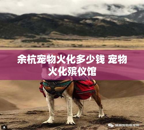 余杭宠物火化多少钱 宠物火化殡仪馆