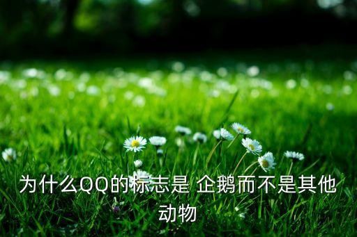 为什么QQ的标志是 企鹅而不是其他动物