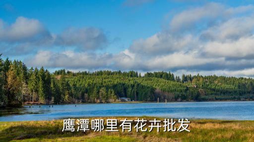 鹰潭哪里有花卉批发