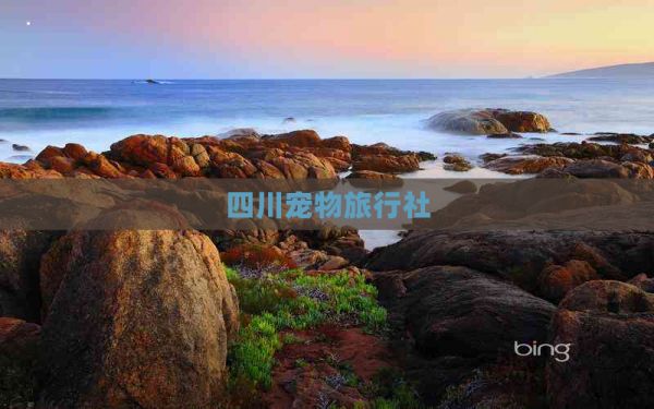 四川宠物旅行社