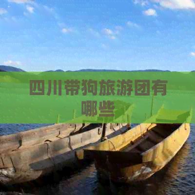 四川带狗旅游团有哪些
