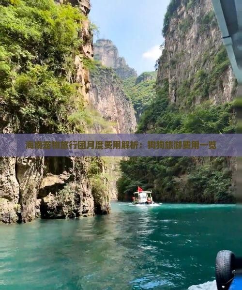 海南宠物旅行团月度费用解析：狗狗旅游费用一览