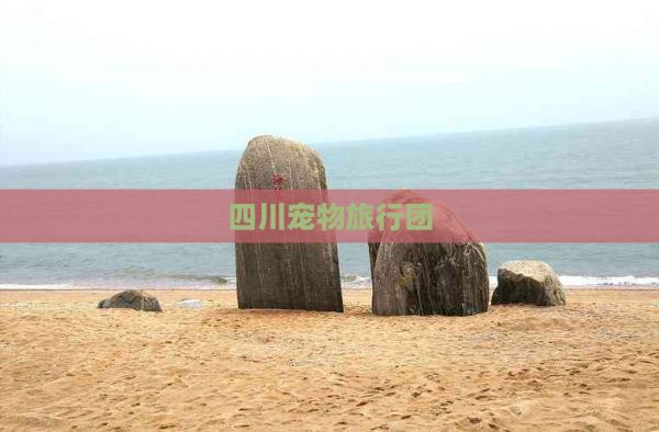 四川宠物旅行团