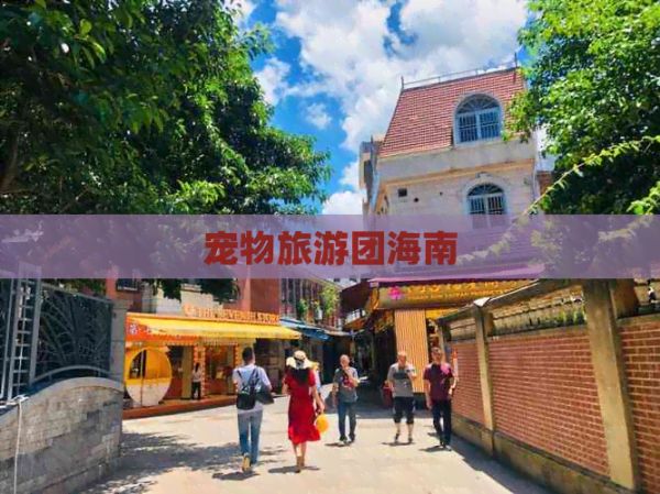 宠物旅游团海南