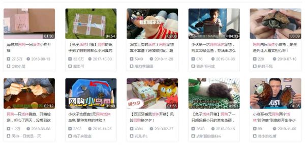 顺丰宠物邮寄多少钱，怎么邮寄活体宠物