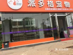 衡阳宠物店有哪些地方卖