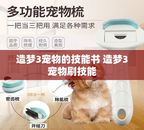 造梦3宠物的技能书 造梦3宠物刷技能